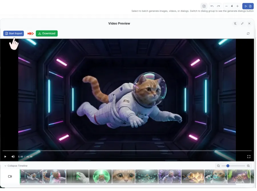 Video preview and export